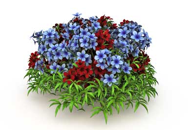 Цветы куст